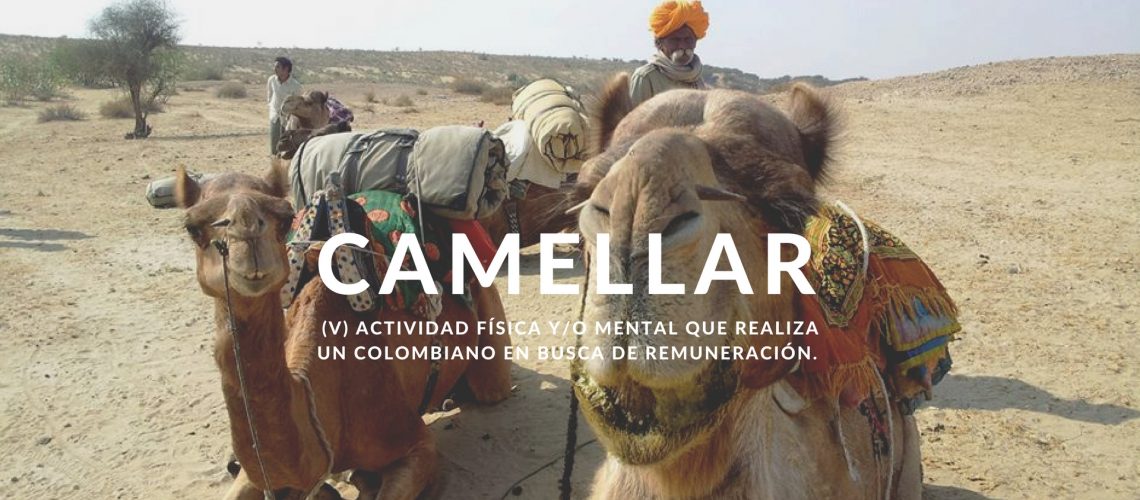 “Camellar” en el exterior